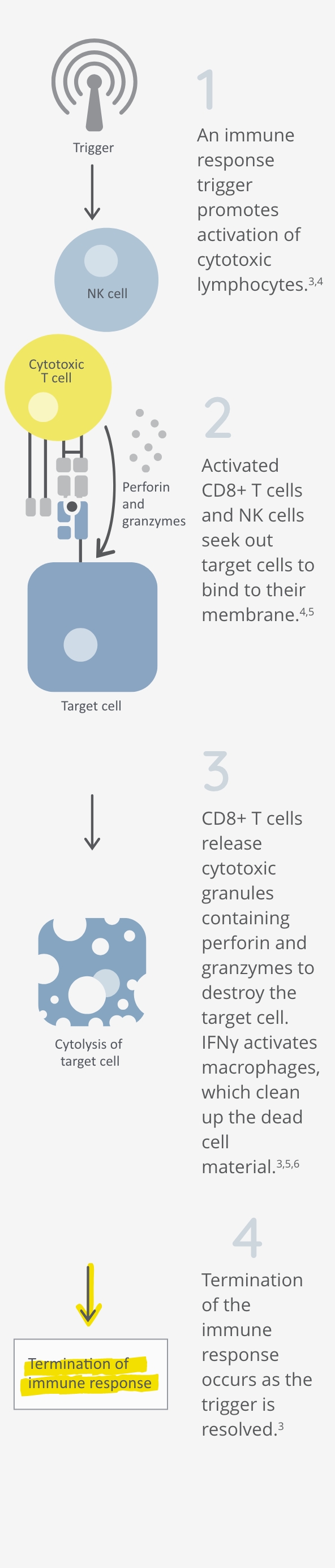Healthy immune system mechanism with T cells and NK cells Healthy immune system mechanism with T cells and NK cells