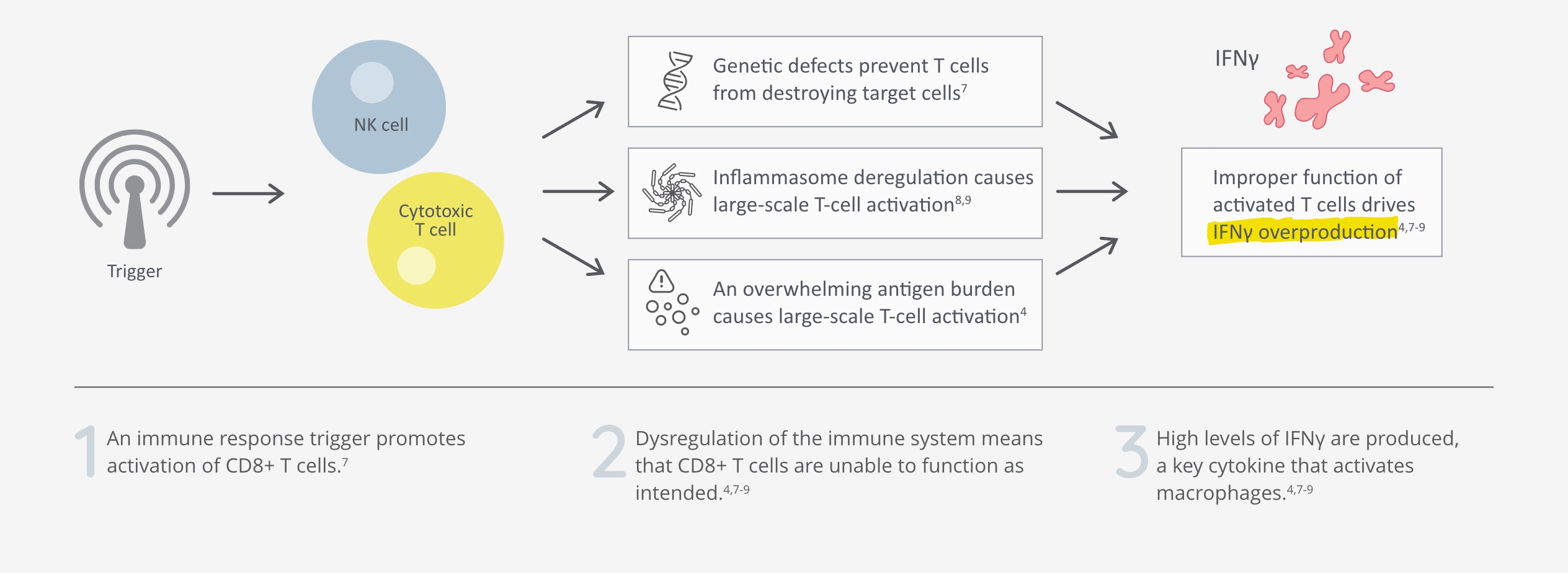 HLH mechanism of disease with T-cell dysfunction and interferon gamma overproduction