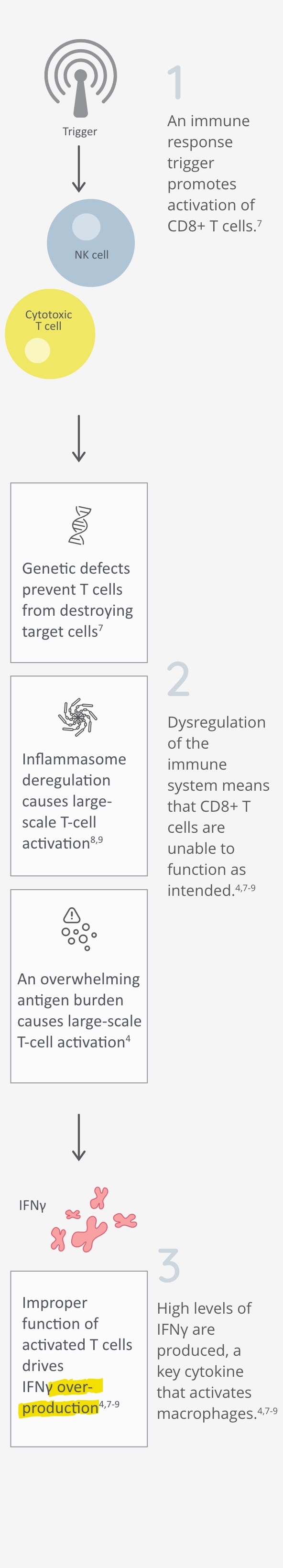 HLH mechanism of disease with T-cell dysfunction and interferon gamma overproduction HLH mechanism of disease with T-cell dysfunction and interferon gamma overproduction