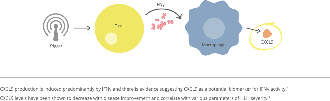 CXCL9 being released from macrophages that have been activated by interferon gamma CXCL9 being released from macrophages that have been activated by interferon gamma