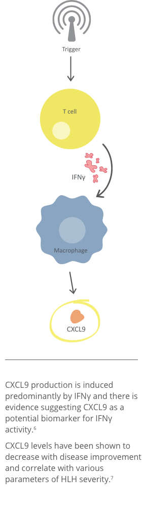 CXCL9 being released from macrophages that have been activated by interferon gamma CXCL9 being released from macrophages that have been activated by interferon gamma
