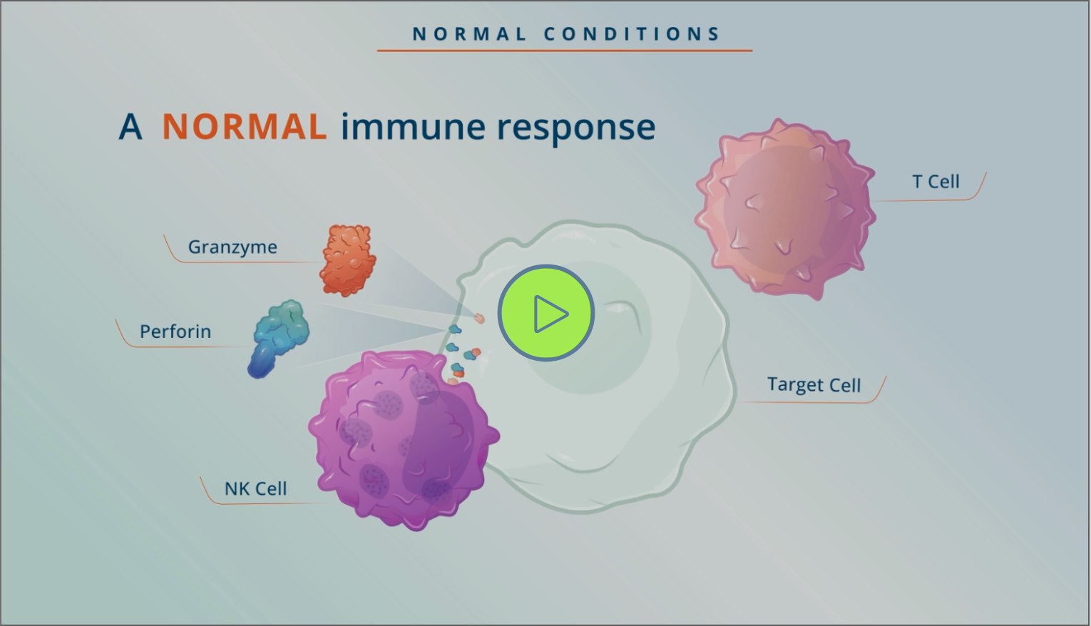 HLH and MAS Mechanism of Disease (MOD) Video