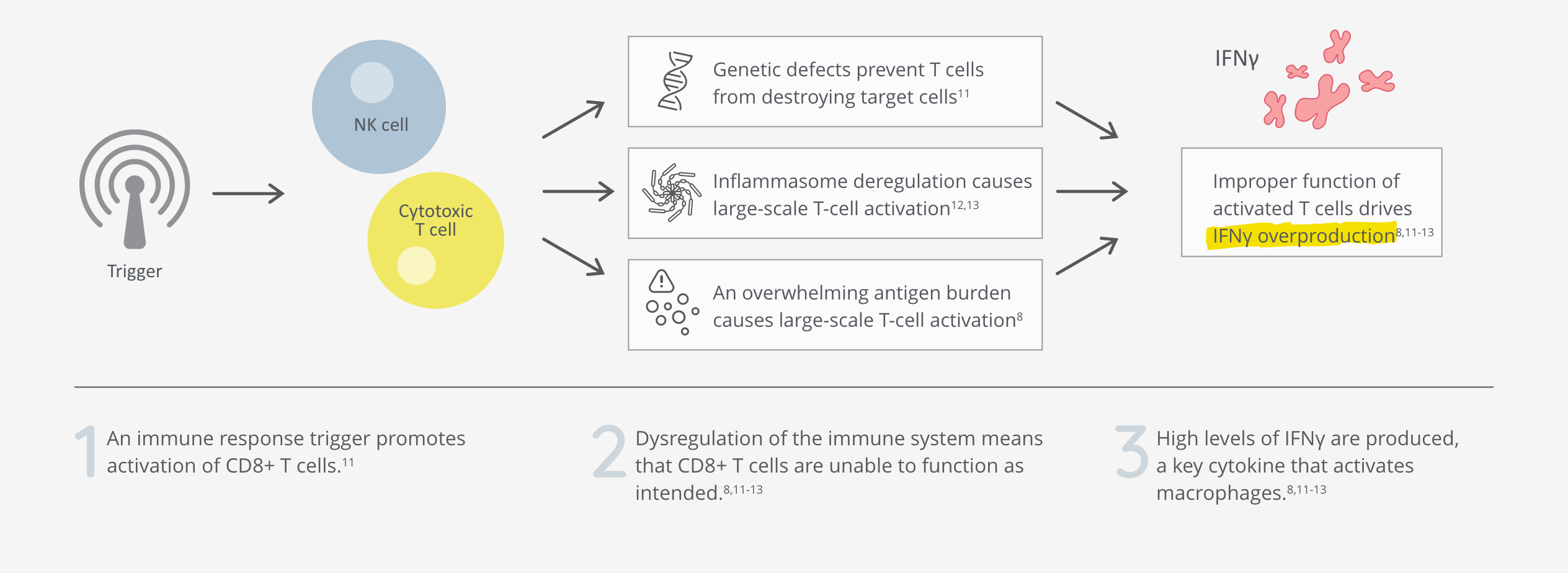 HLH mechanism of disease with T-cell dysfunction and interferon gamma overproduction