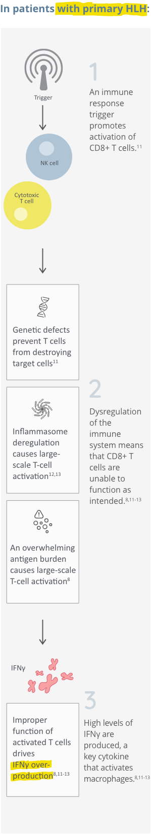 HLH mechanism of disease with T-cell dysfunction and interferon gamma overproduction