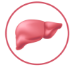 Hyperferritinemia, hepatosplenomegaly, and hypertriglyceridemia icon